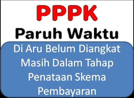 Pembayaran Gaji Menjadi Beban Pemda Aru P3K Paruh Waktu Belum Bisa Dilantik