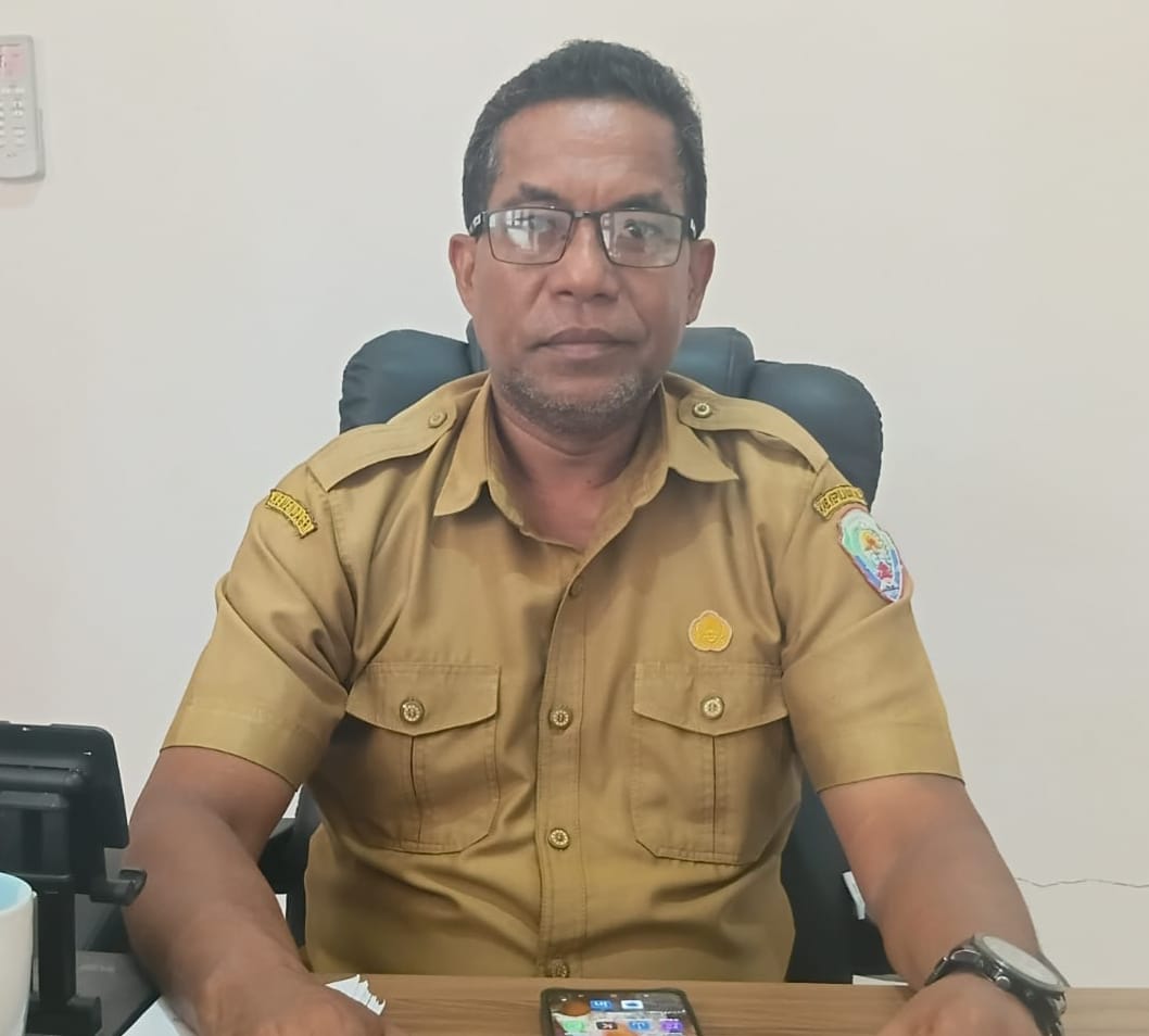 Cegah Kerusakan Lingkungan, DLH Kepulauan Aru Hentikan Penambangan Pasir Ilegal di Pesisir Wokam