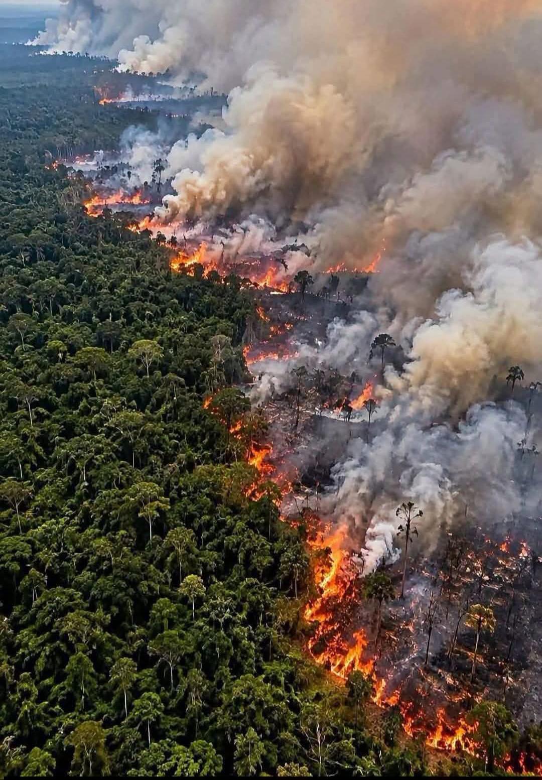 Gubernur Maluku Terbitkan Surat Edaran Antisipasi Kabut Asap, Asn Wfh 3 Hari Dan Sekolah Diliburkan